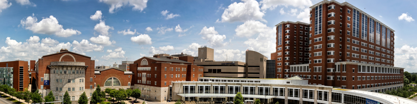 panoramic image of hospital and wethington building