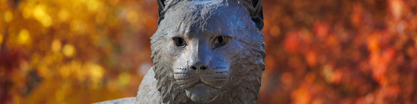 Statue of UK Wildcat 