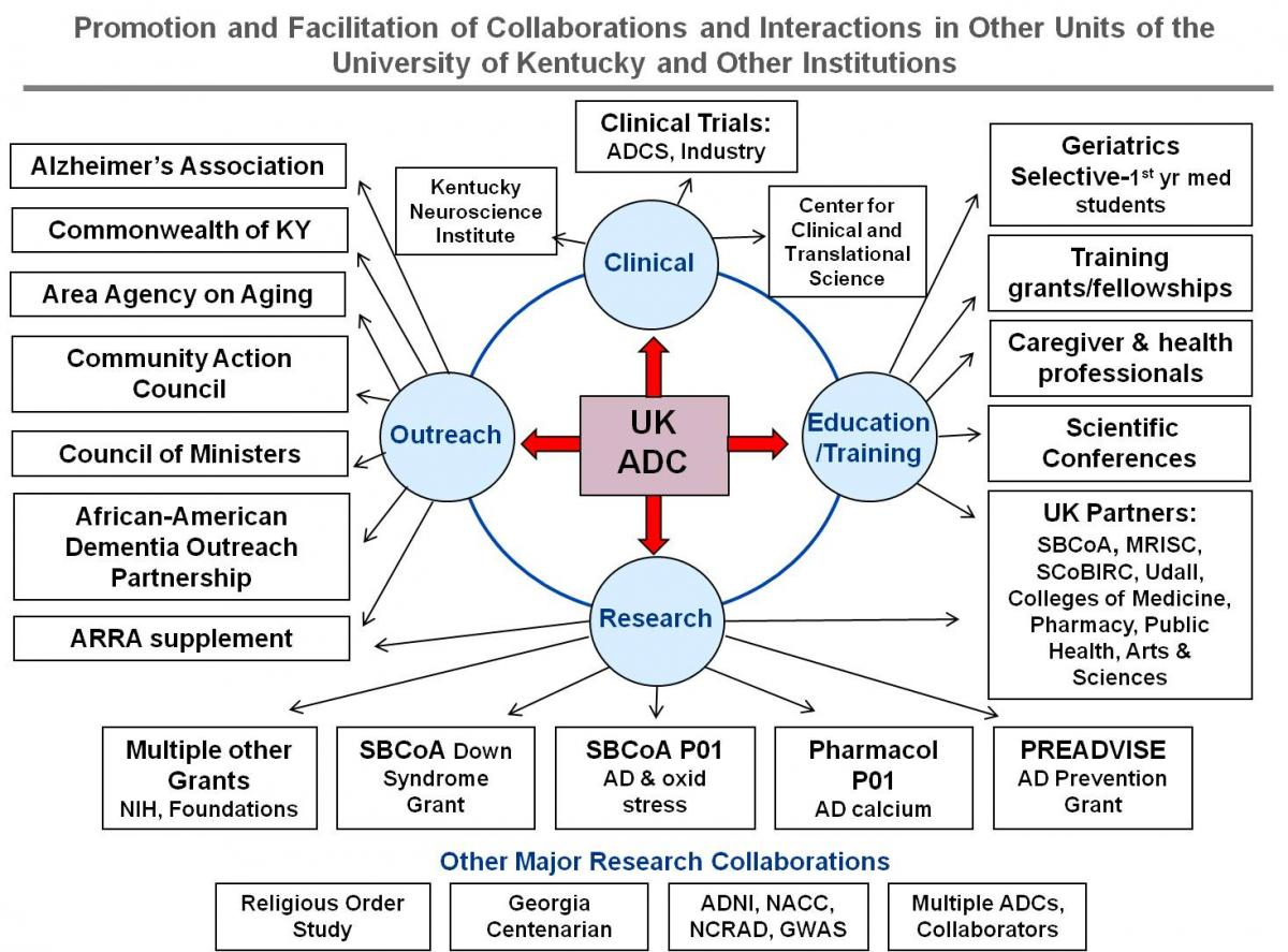 Promotion and Facilitation of Collaborations and Interactions in other Units of the University of Kentucky and Other Institutions: Outreach, Cliniccal, Education/Training and Research