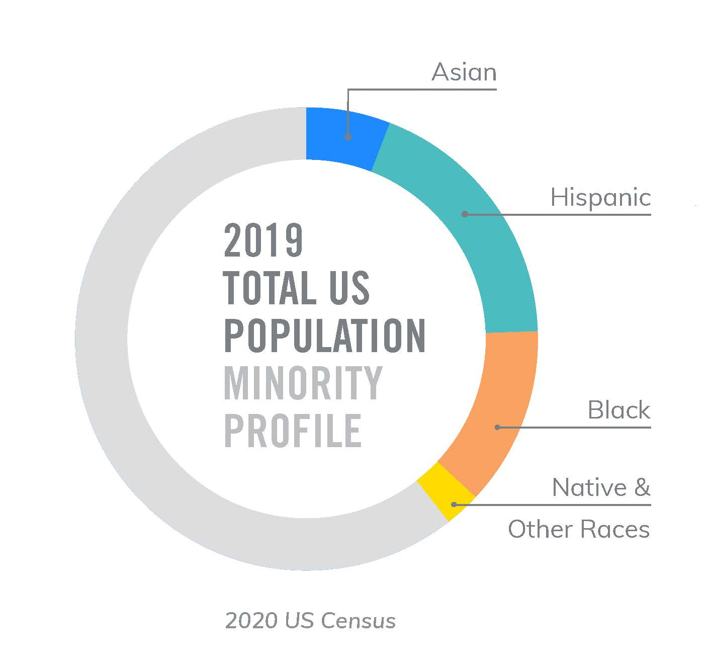 2019 US Minority Profile from 2020 Census