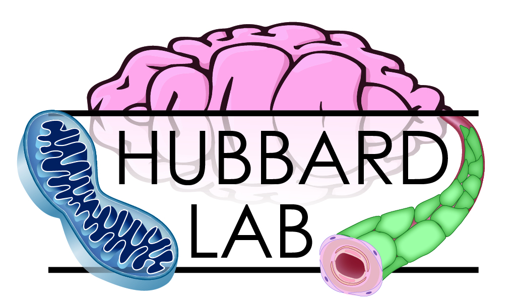 a high resoulution version of the logo for Brad Hubbard's lab 