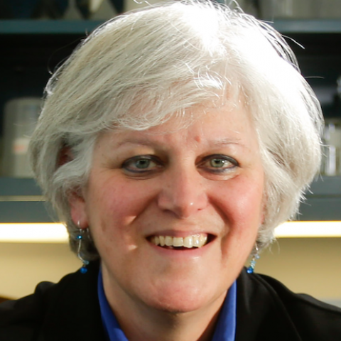 Headshot of Dr. Lisa Cassis