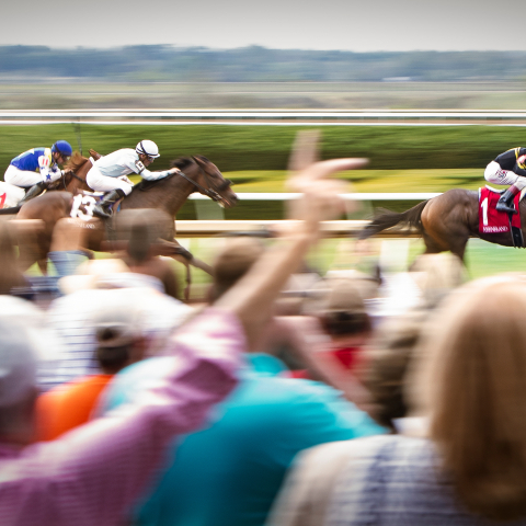 horse racing at Keeneland while a crowd cheers them on