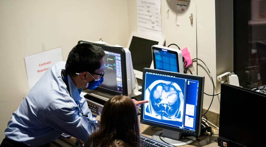 doctor and provider looking at cardiac computer screen imaging