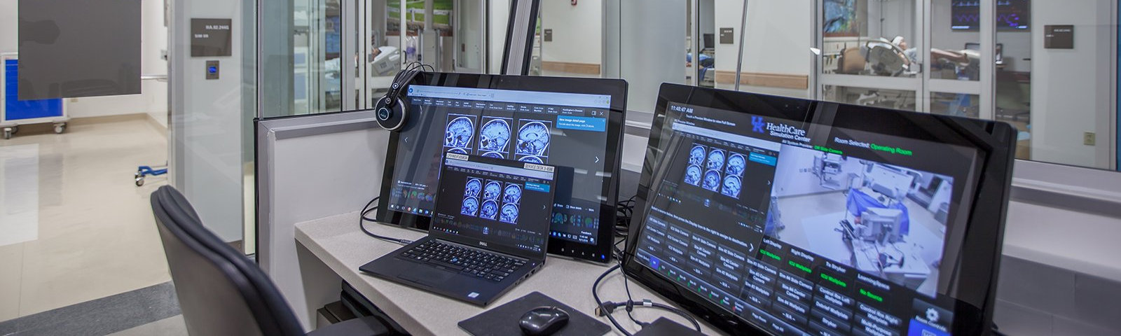 Brain scans on a computer.