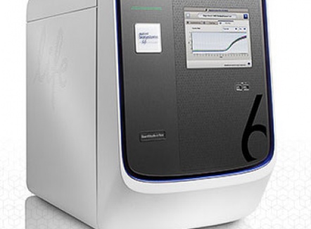 Quant Studio Real-Time PCR