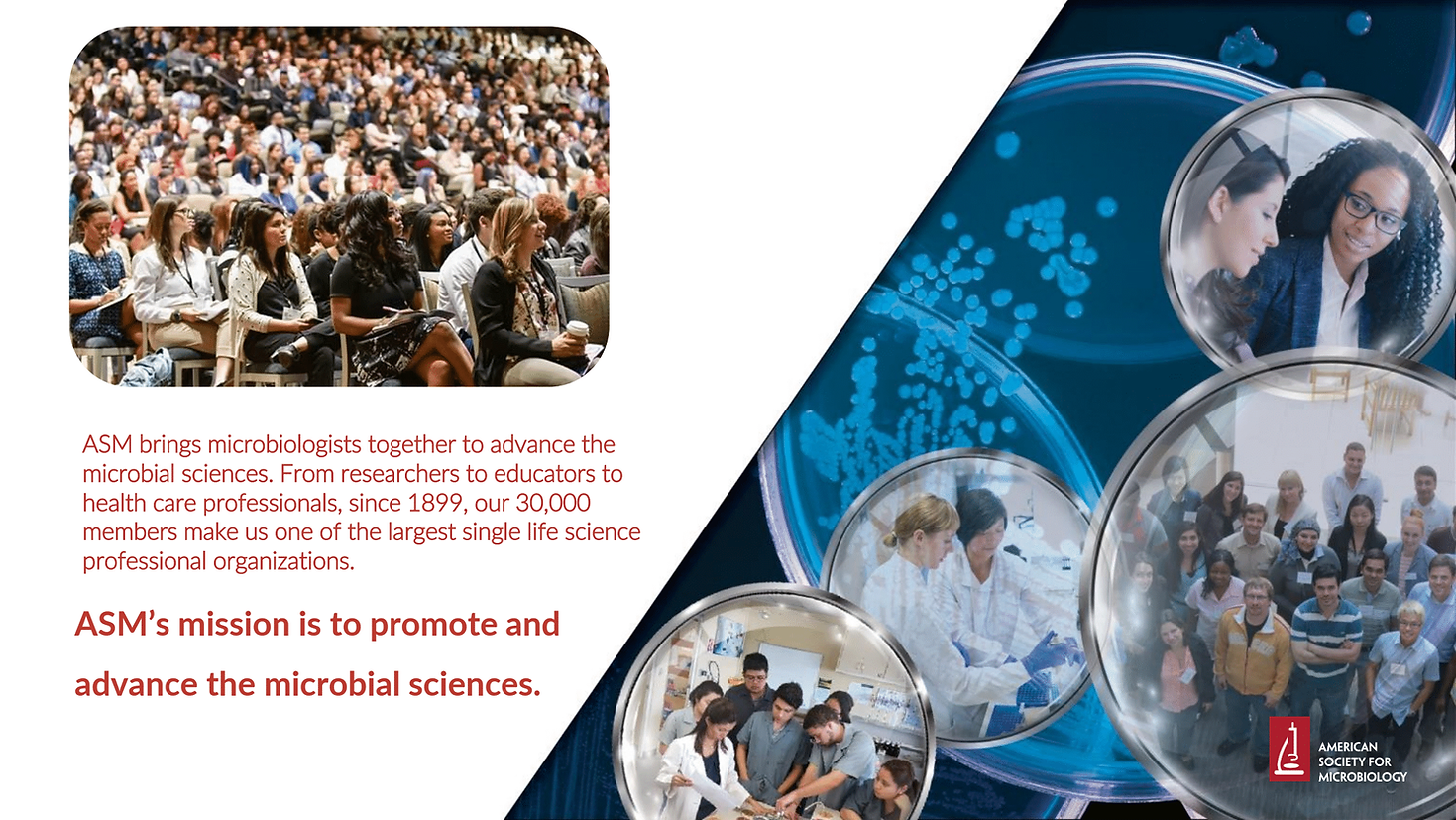 Text:  ASM brings microbiologists together to advance the microbial sciences. From researchers to educators to health care professionals, since 1899, our 30,000 members make us one of the largest single life science professional organizations. ASM's mission is to promote and advance microbial sciences. Picture of a crowd top left. Image of the right of petri dishes with various pictures of people inside the petri dishes. ASM logo at bottom right, which is the words and a microscope.