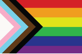 LGBTQ* flag