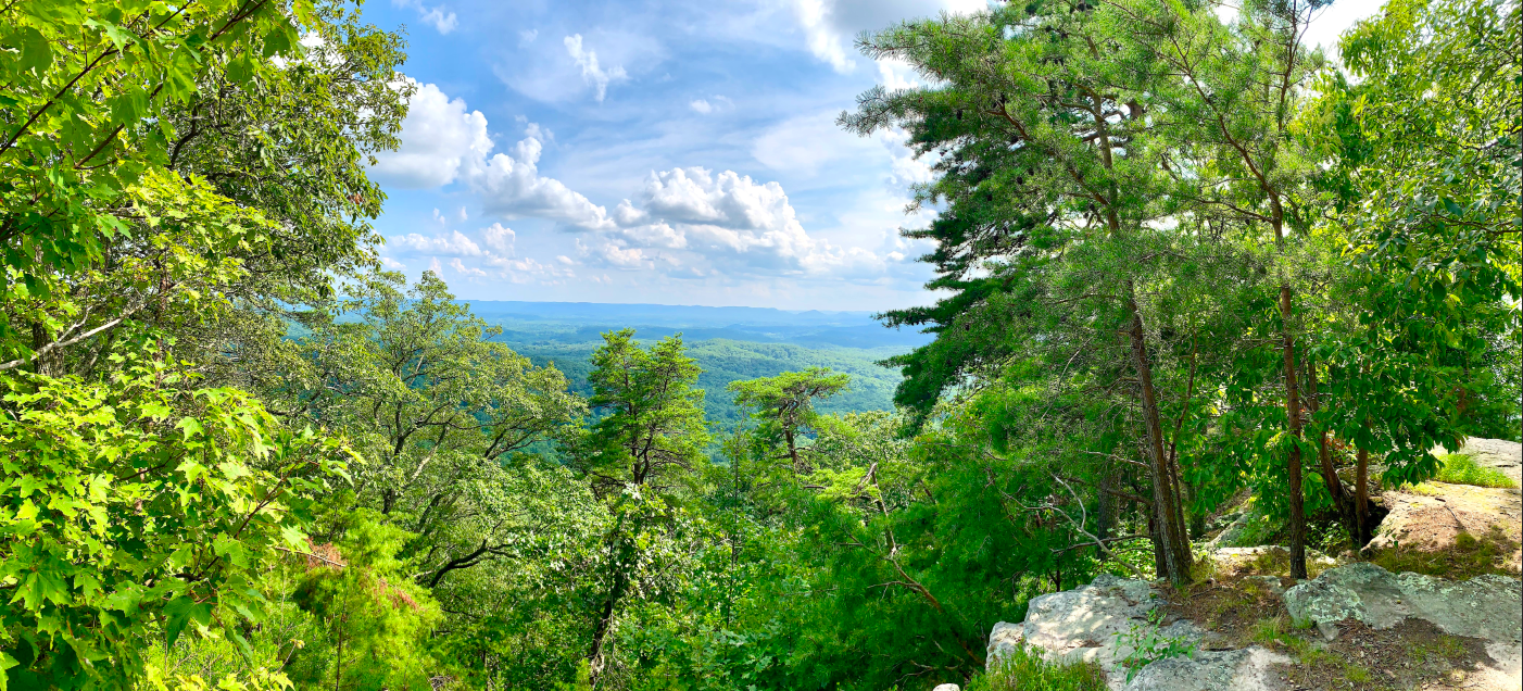 Overlooking nature including trees and mountains