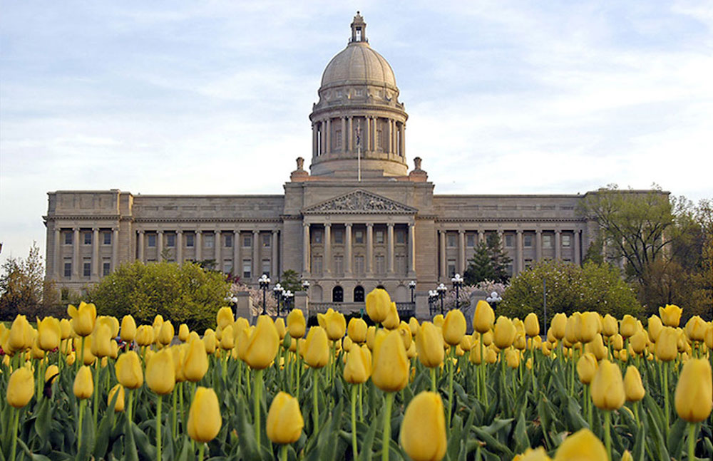 Kentucky Capitol Building with Field of Yellow Tulips