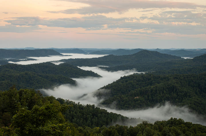 View of the mountains of Kentucky, with fog rolling through like a river.