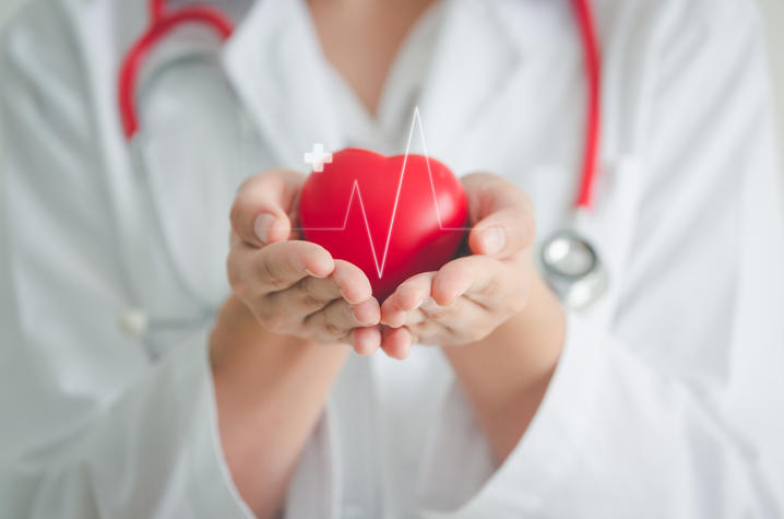 Doctor in a white coat holding a toy heart