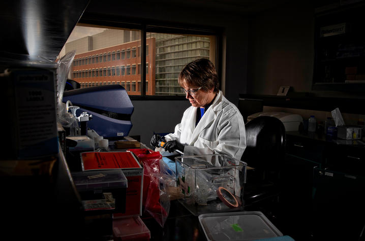 Linda J. Van Eldik working in her laboratory