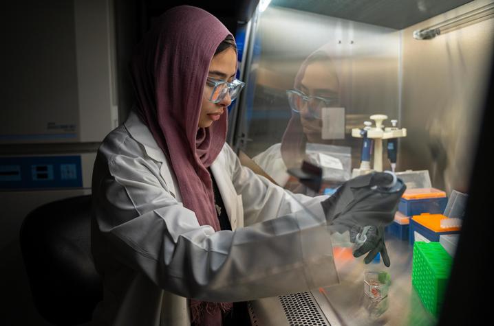 Elaf Ghoneim working in a UK laboratory under a hood ventilator.