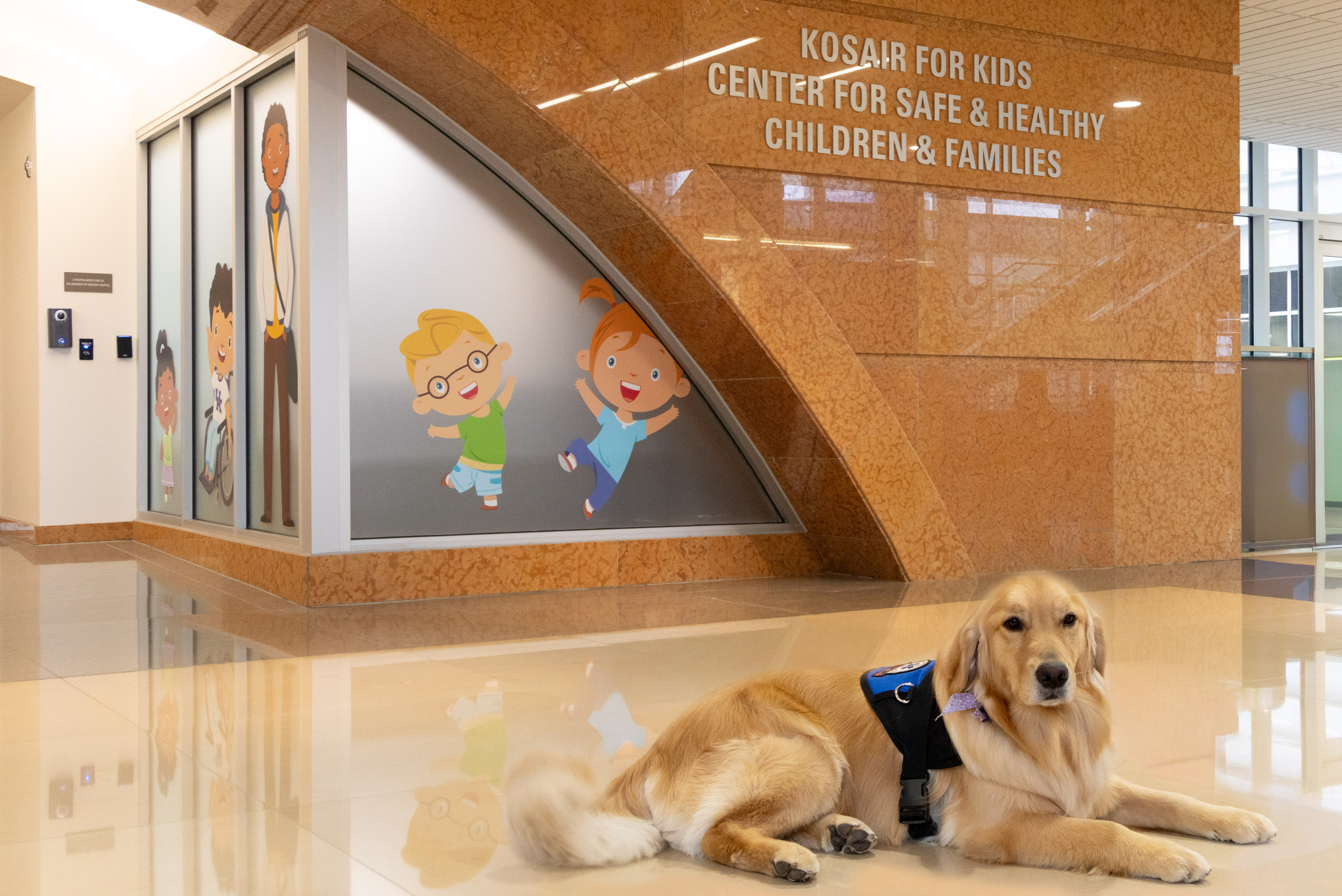 Dog Darcy sitting at the entrance of Kosair for Kids - Child Abuse Peds Fellowship