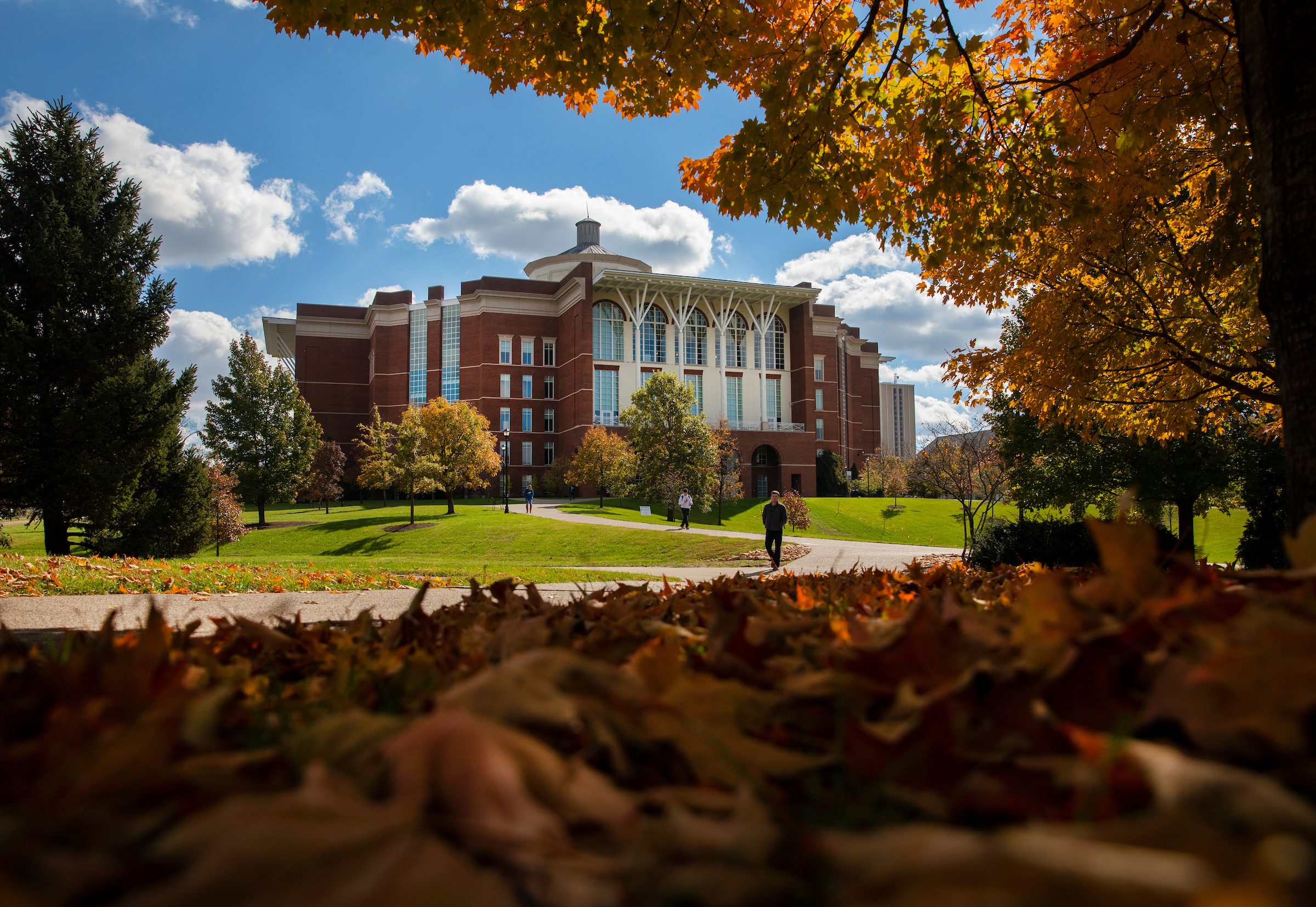 William T Young Library in the fall