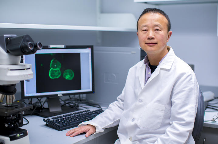 Ren Xu, PhD