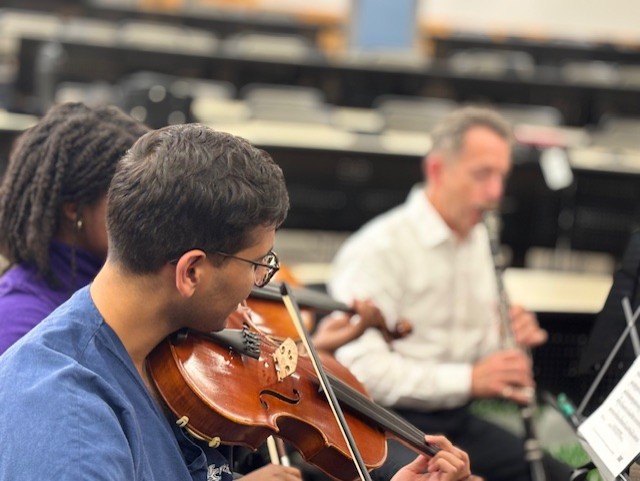 Duo playing stringed instruments