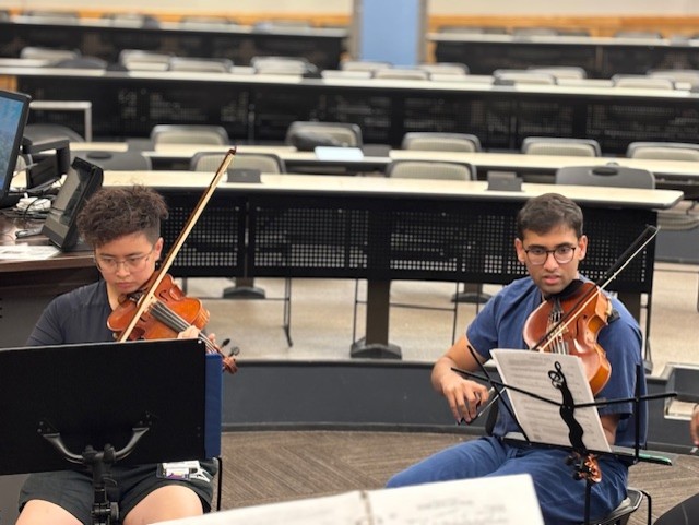 Duo playing stringed instruments together focused