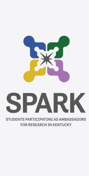 SPARK Logo