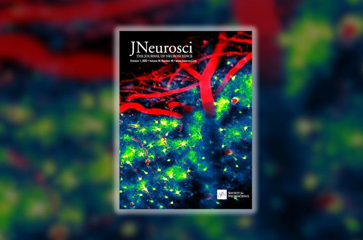 The cover image of The Journal of Neuroscience.