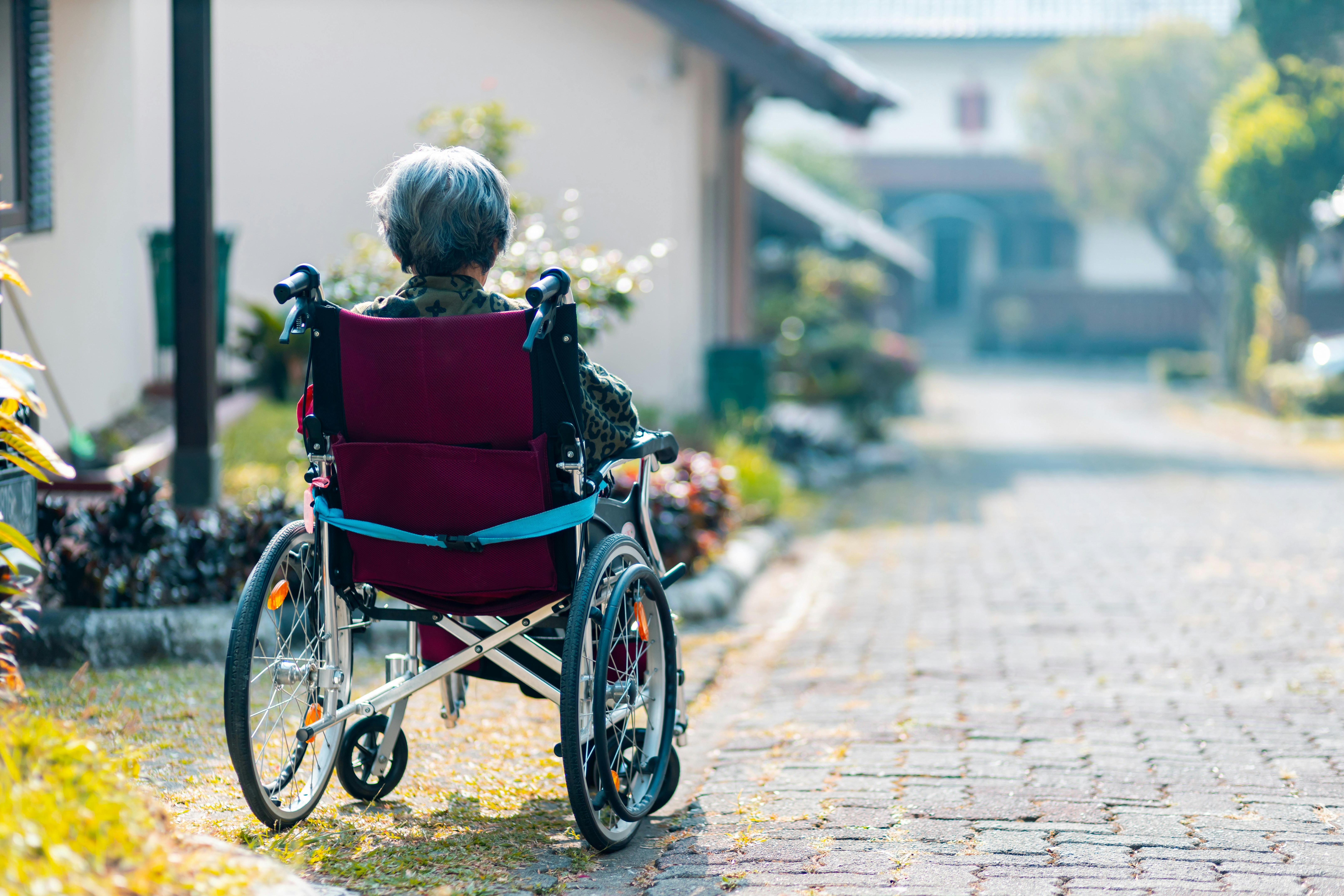 Elderly person in a wheelchair on a sunlit path, surrounded by greenery and houses. The scene conveys tranquility and contemplation.