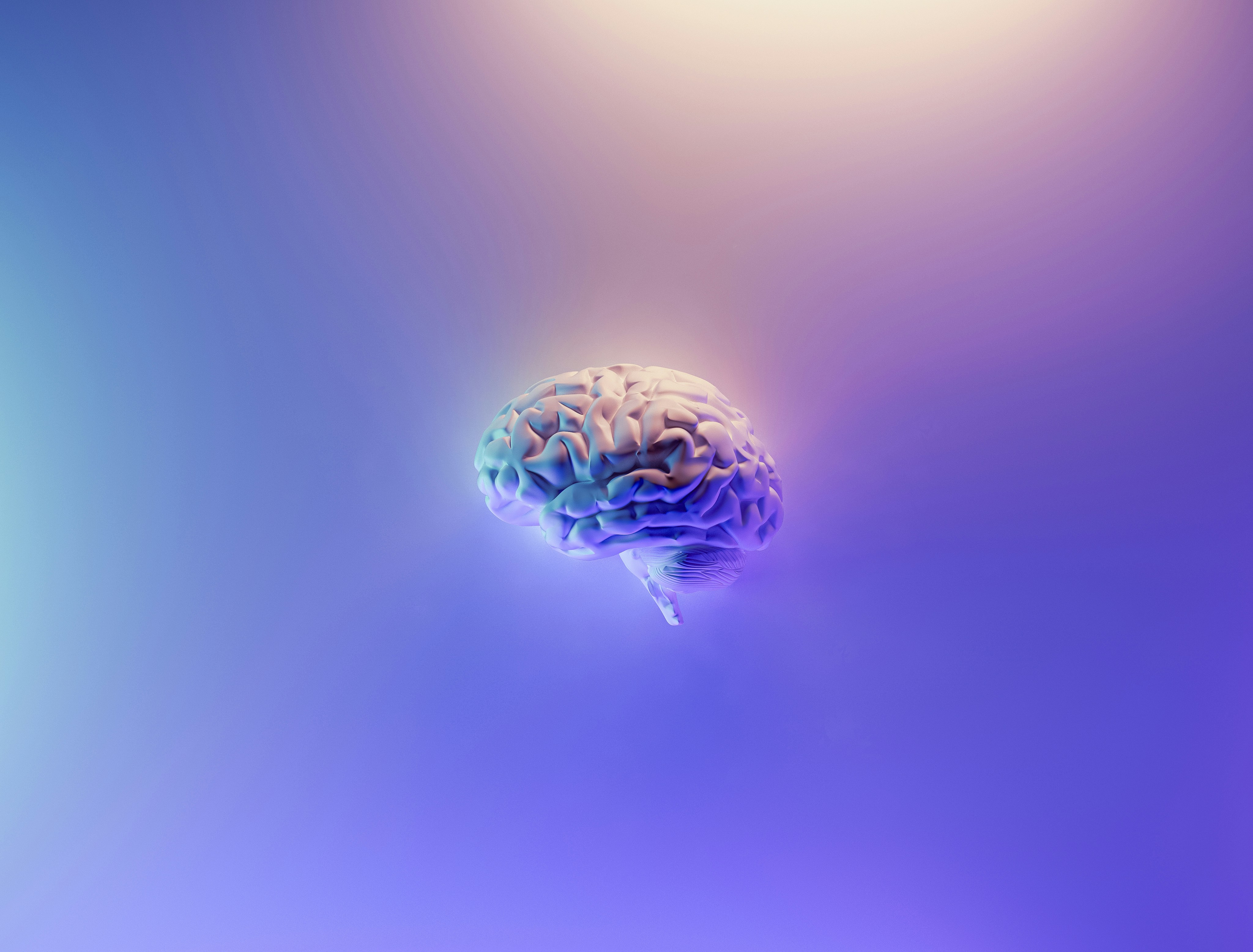 A 3D model rendering of the human brain against a multi-color, gradient background.