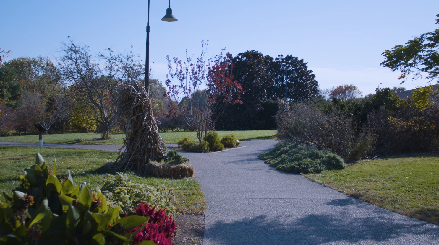 A pathway through the University of Kentucky Arboretum. 