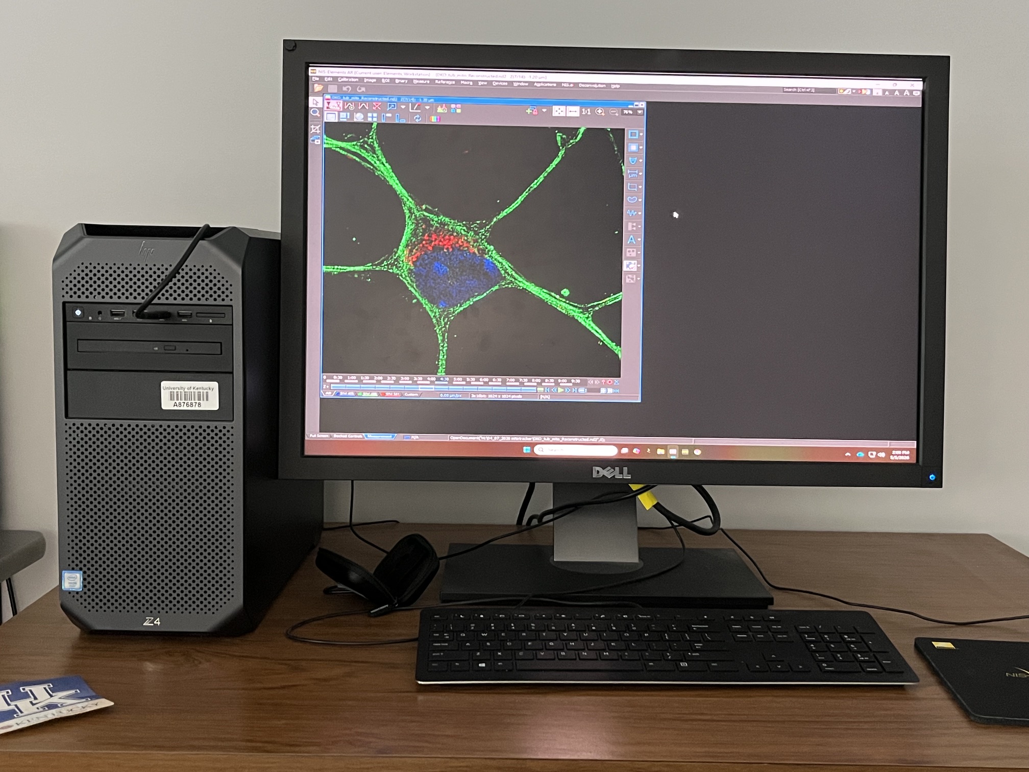 NIS Elements Workstation: A close up of a computer showing a graphic of a cell.