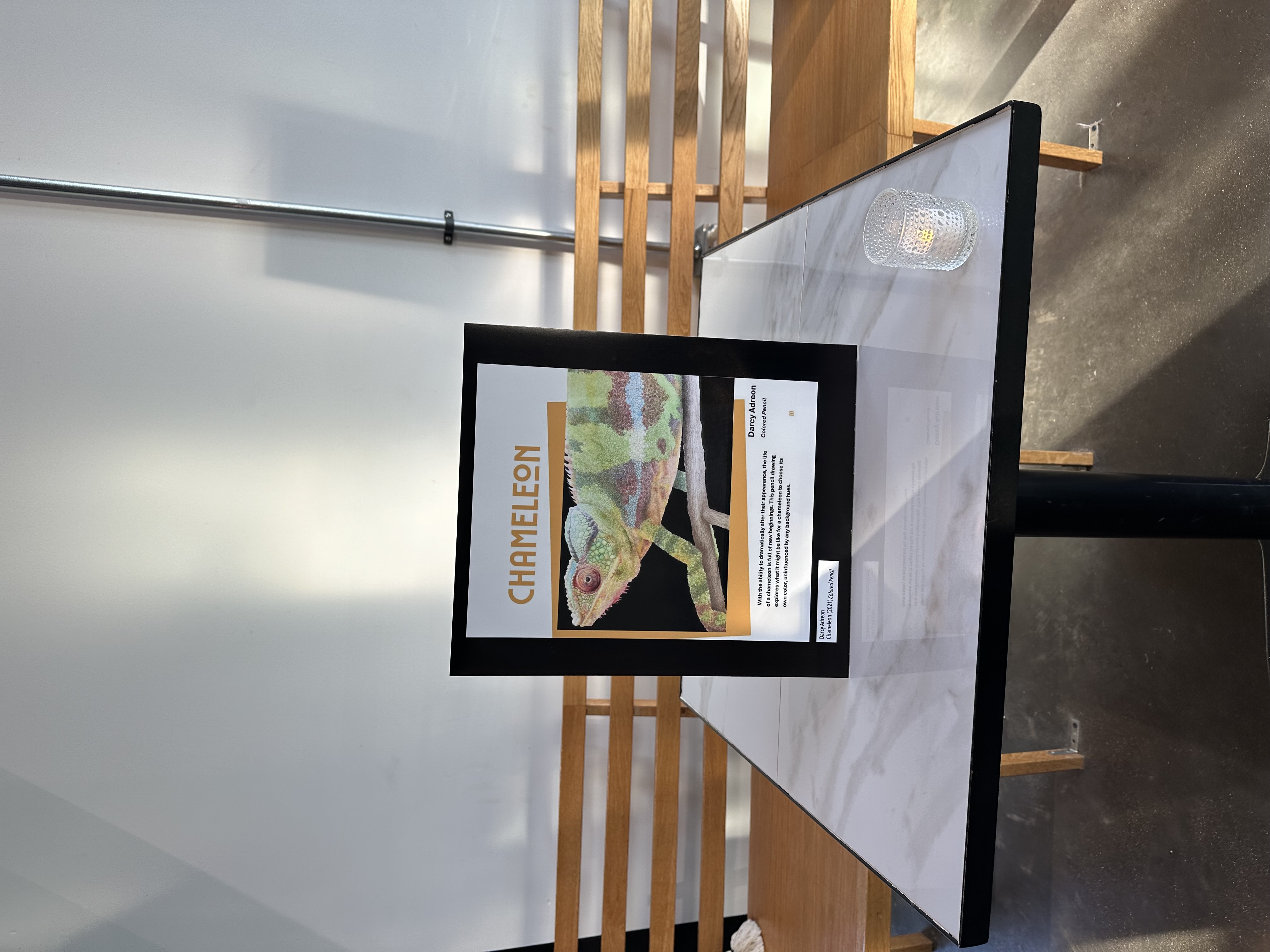 Artwork with a picture of a chamelon on it displayed on a table during the Vitals Group Launch Party