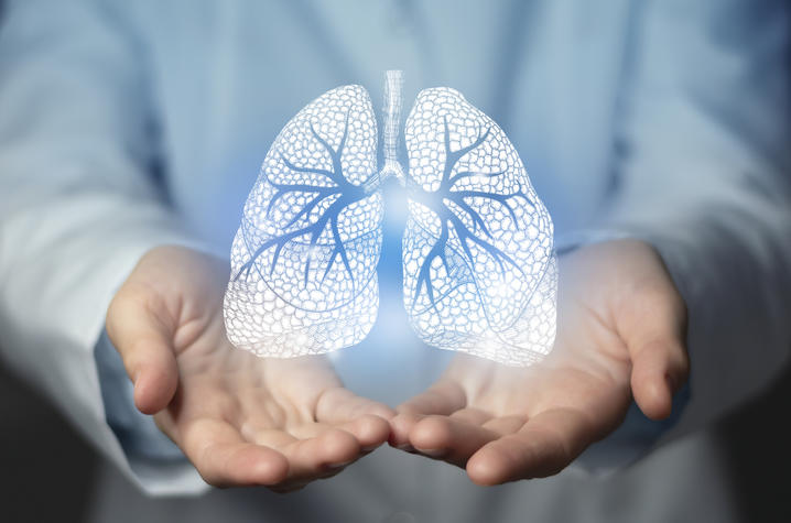 An illustration of lungs.