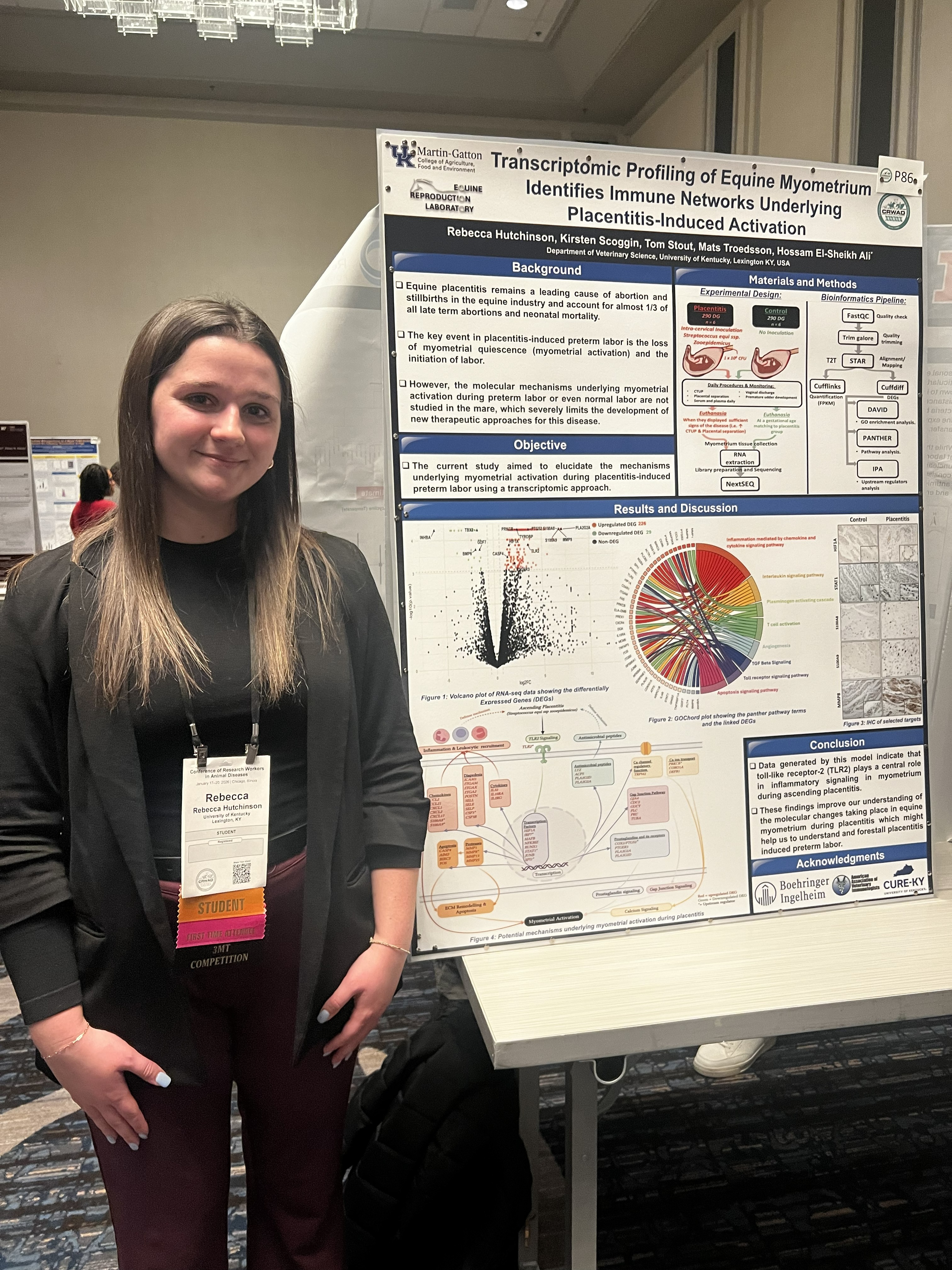 Rebecca Hutchinson standing beside her scientific poster, “Transcriptomic Profiling of Equine Myometrium Identifies Immune Networks Underlying Placentitis-Induced Activation,” at a conference poster session.