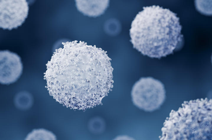 Close-up microscopic-style image of multiple round, textured white cell-like structures suspended against a dark blue background. A large spherical structure is in sharp focus near the center, while others appear at varying sizes and depths.