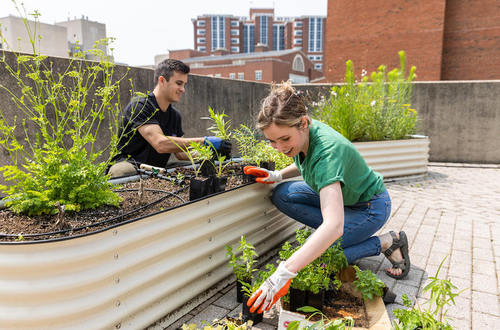 Student working in garden