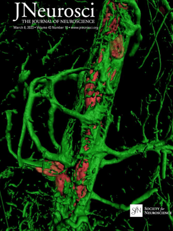 The cover of Journal of Neuroscience Vol. 43, Issue 10, published March 8, 2023. Green representation of proteins