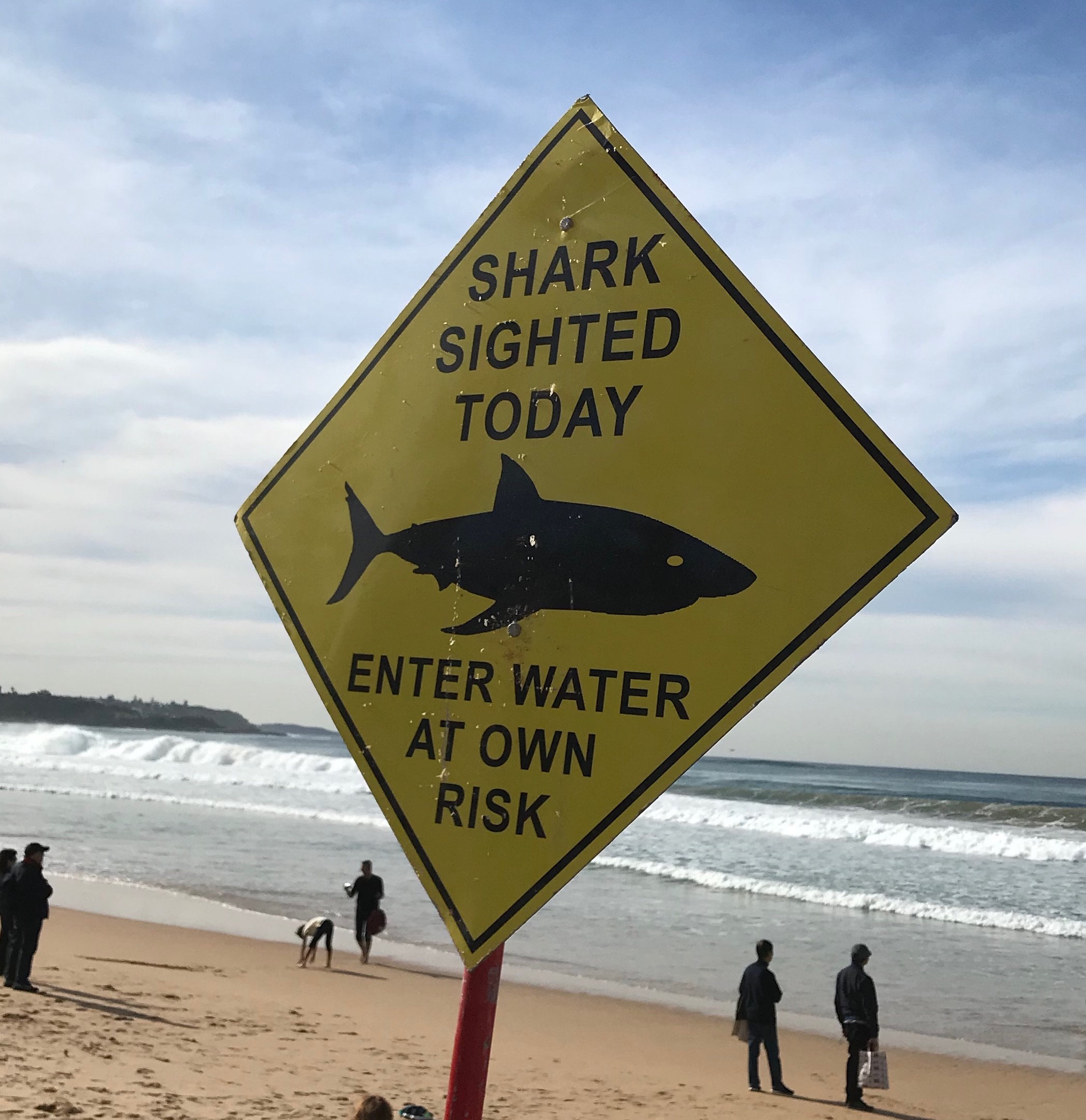 Shark sign.jpeg