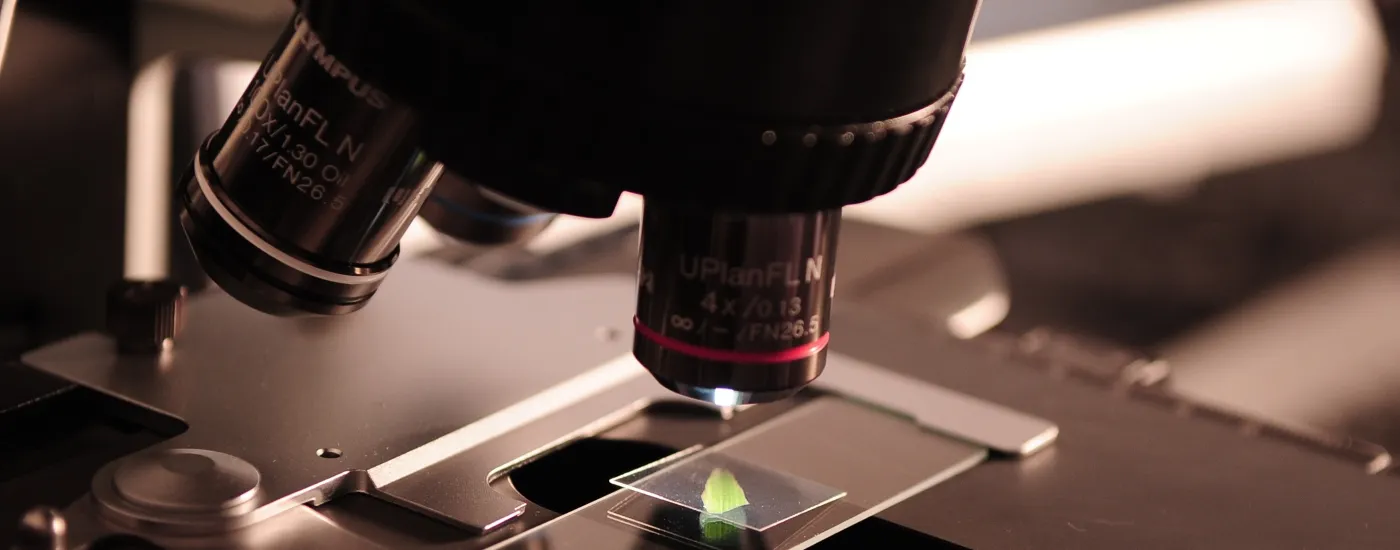 Office of Research | About Us | University of Kentucky College of