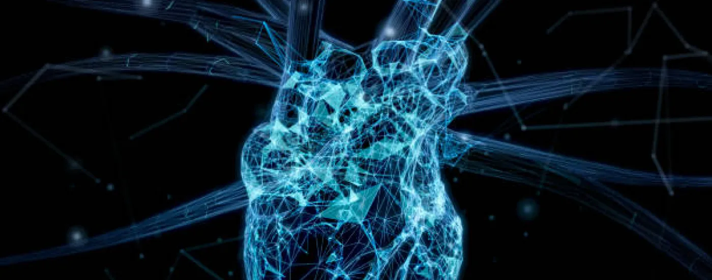 Digital Heart Image