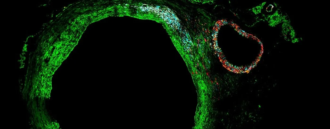Scientific image