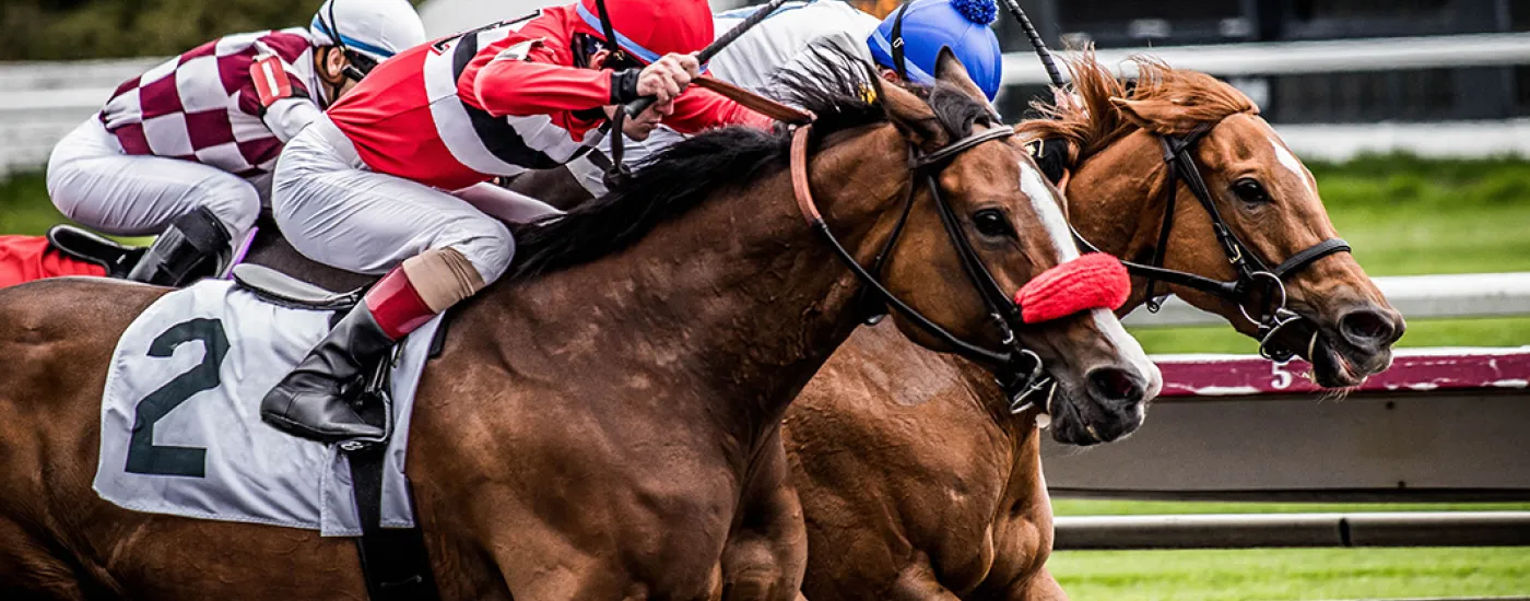 Jockeys atop racing horses in mid-stride on the track