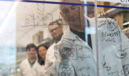 Terry Hinds, PhD, writing on a clear board with students in his lab.