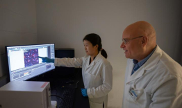 Zhihui Zhu, PhD, (left) and Erhard Bieberich, PhD, (right) working at a lab computer