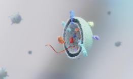 A medical illustration of nanoparticles being released by a cell.