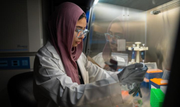 Elaf Ghoneim working in a UK laboratory under a hood ventilator.