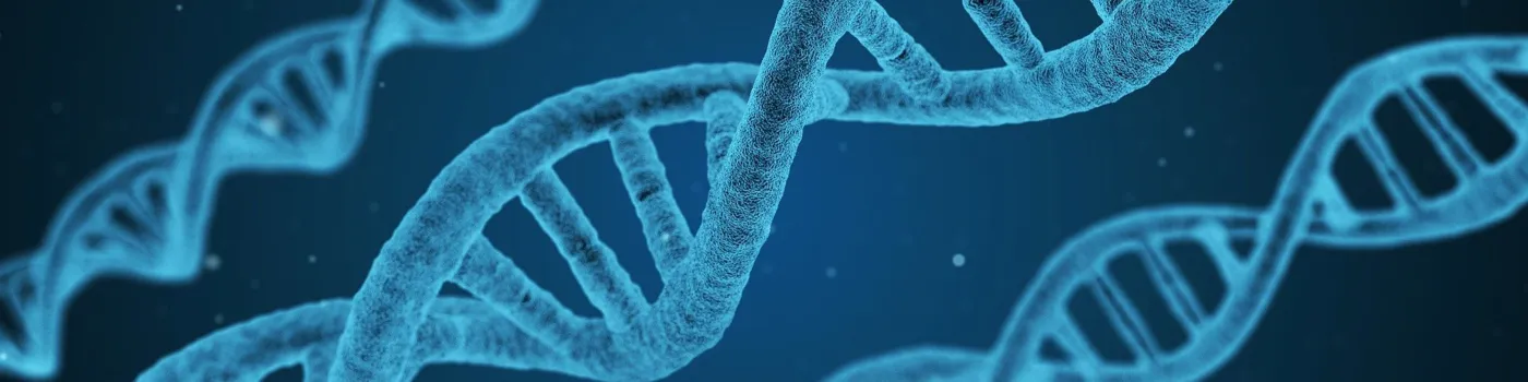 DNA helixes