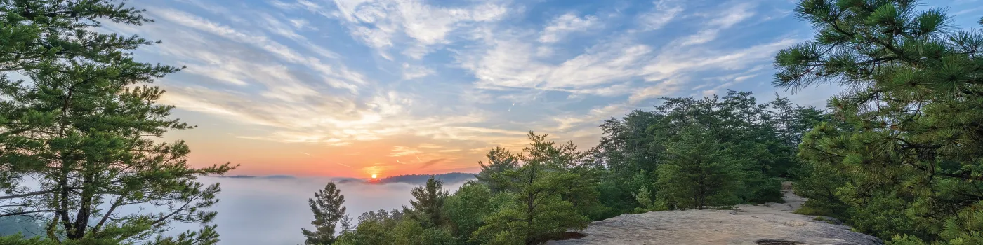 sunrise surrounded by trees with large rock in foreground