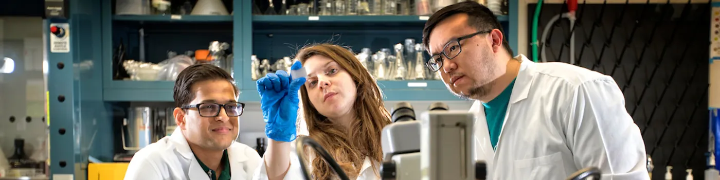 Three scientists in the lab.