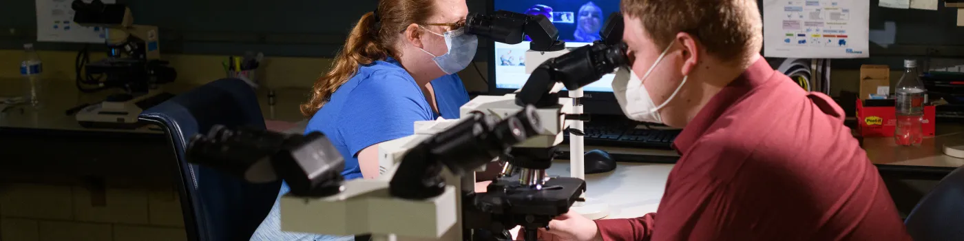 two researchers looking into microscopes