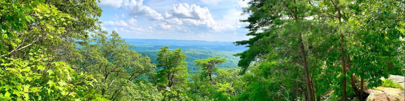 Overlooking nature including trees and mountains