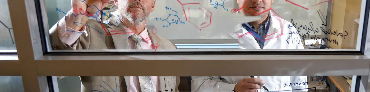 researchers collaborating